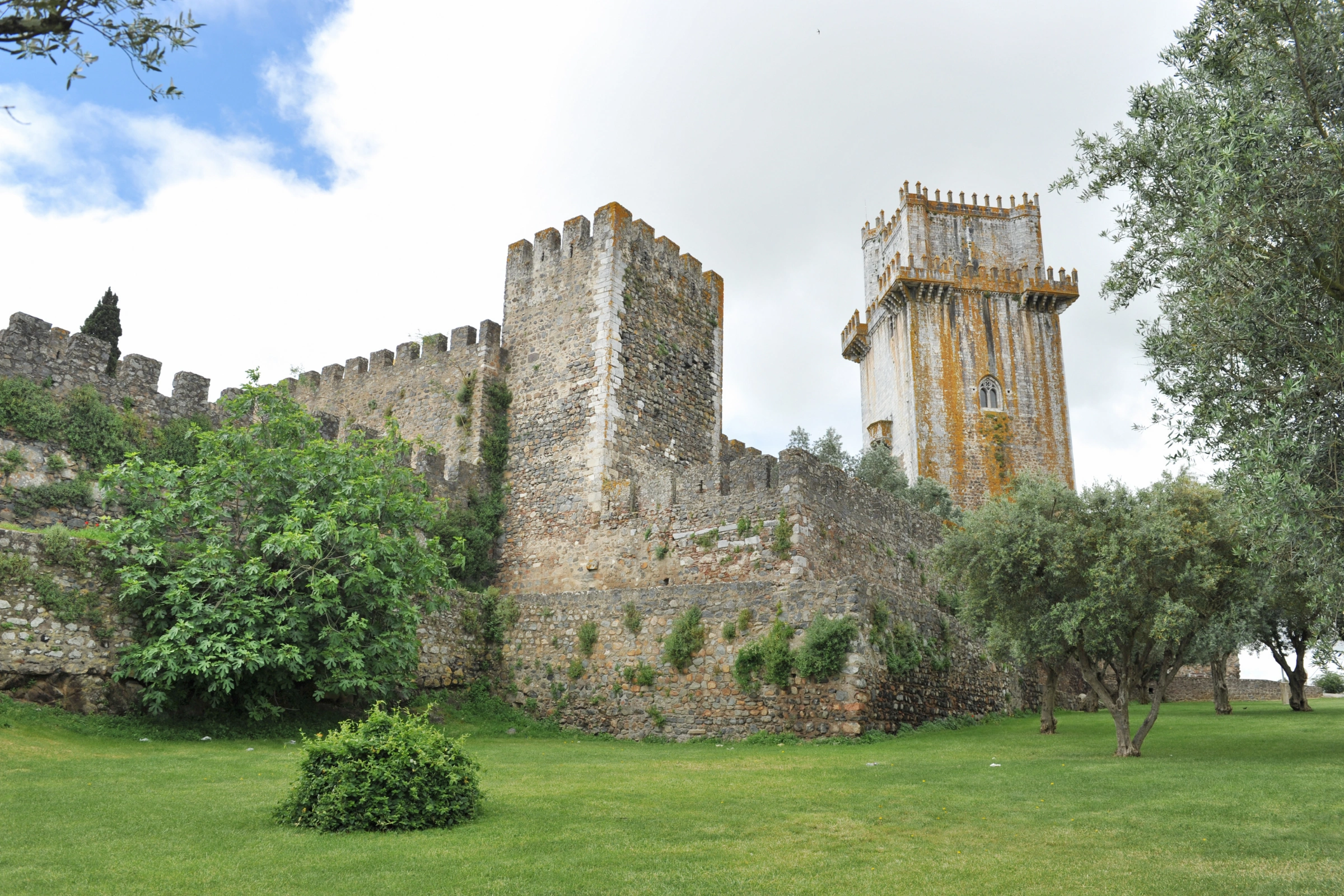 Beja[1].webp